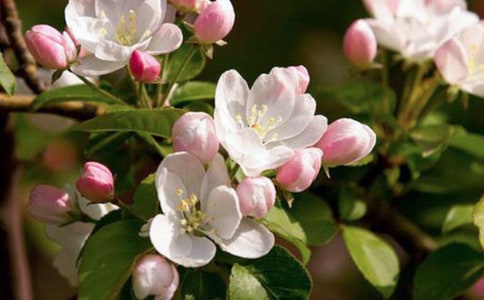 ����������������500��3ƪ