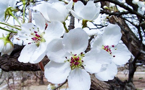 ��������500��6ƪ���ϼ���