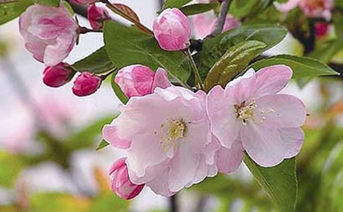 ���ں�������500�ֽ���8ƪ