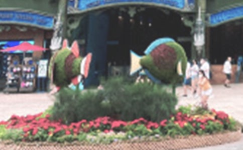 �κ���԰���ļ���15ƪ