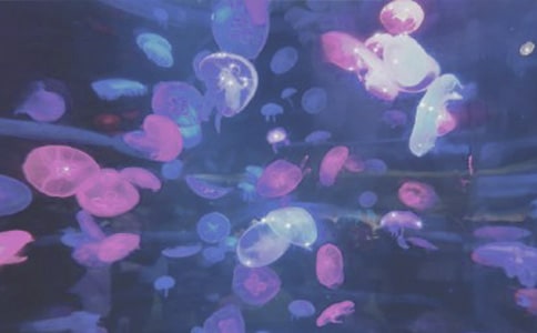 ����԰һ�������Ļ��15ƪ