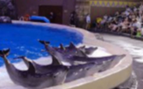 ���Ƽ������������300��3ƪ