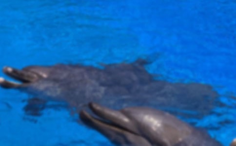 �����ĺ�������450��