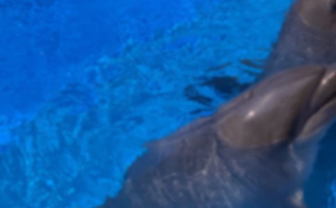 ���������300�־�ѡ[8ƪ]