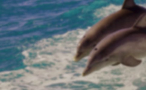 �������꼶����