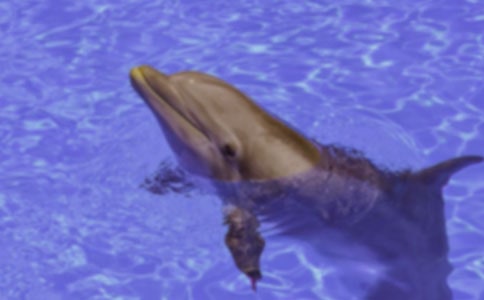 �����������������300��10ƪ