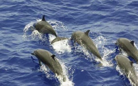 500������д��������꼶����