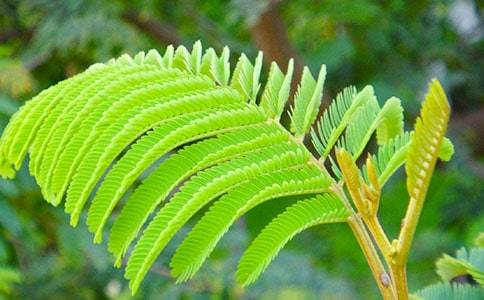 ���߲����꼶�۲����Ļ�����ƪ