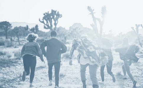 旅行的好友小学生作文