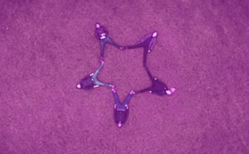 ��������300�ְ�ƪ