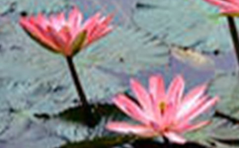 �ɻ�������500��[�ر�10ƪ]