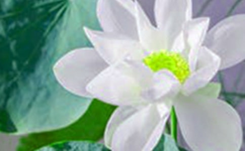 �������ɻ�״������