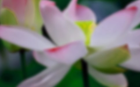 ���꼶�ɻ�������300��3ƪ