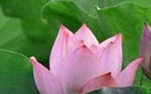 �ɻ�������500��