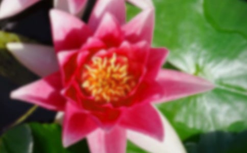 �ɻ�д��������400�ֺϼ�5ƪ