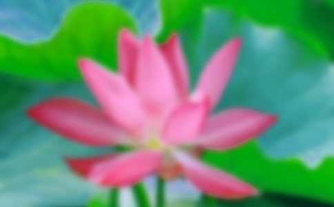 ���ر����ɻ������꼶����300����ƪ