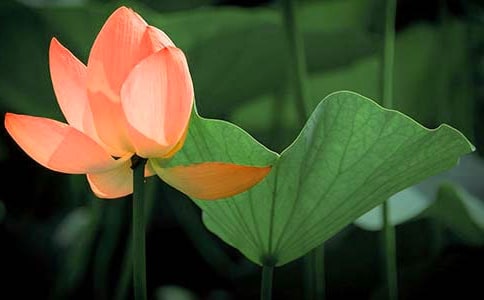 ������д�ɻ������꼶���ĺϼ���ƪ