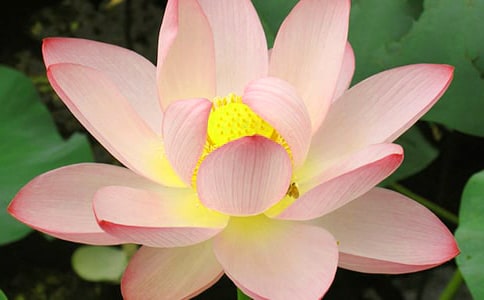 ���Ƽ����ɻ�������300����ƪ