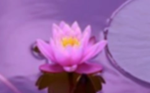 ��Ϊ��г�����Կ�������500��