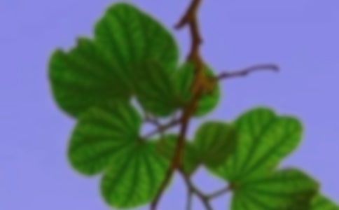 �����š���г����300����ƪ