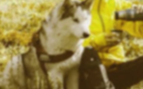 ��г��չ��������