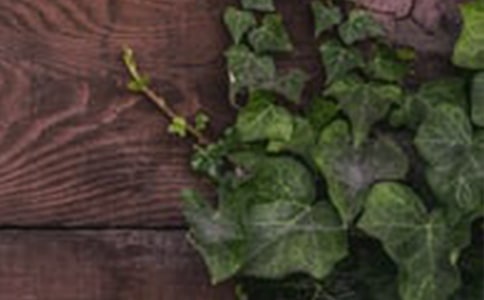 ��г400������