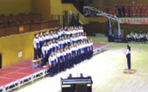 ��ѡ�ϳ���������300����ƪ