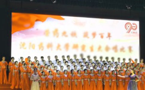 �ϳ���������