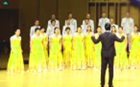 ��ѡ�ϳ�����������300��10ƪ