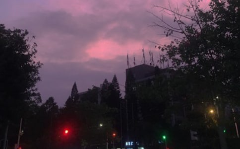 ��ҹ��������