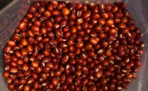 �춹����300��5ƪ