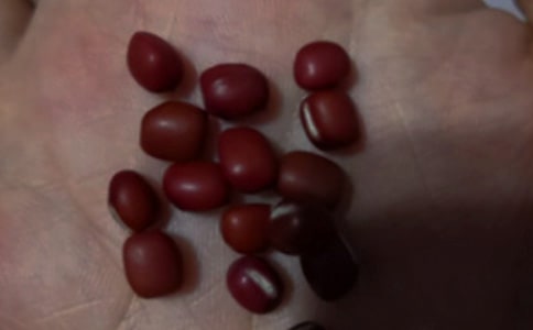 �춹����600��