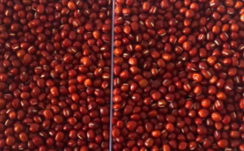 �춹����300����ƪ