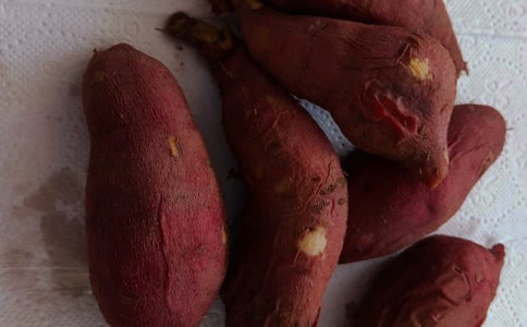 红薯作文500字精品(7篇)