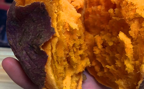 ���������������꼶����4ƪ