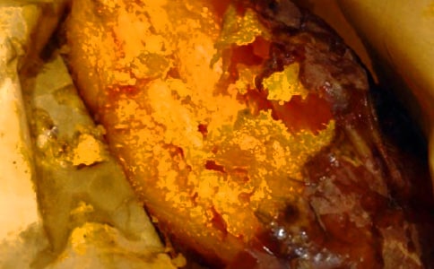 ��ʵ�á���������600��3ƪ