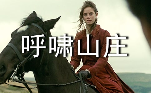 《呼啸山庄》读后感11篇