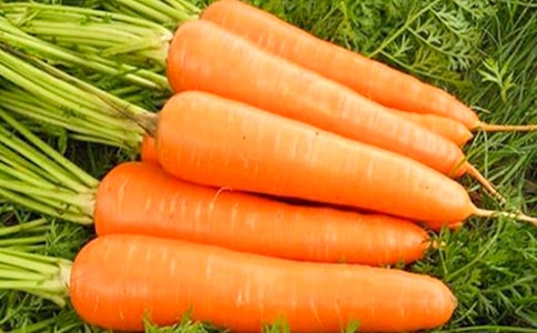 ��ѡ���ܲ�����300����ƪ