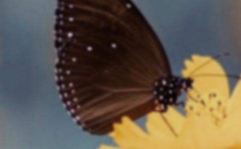 ��ѡ��������300��8ƪ