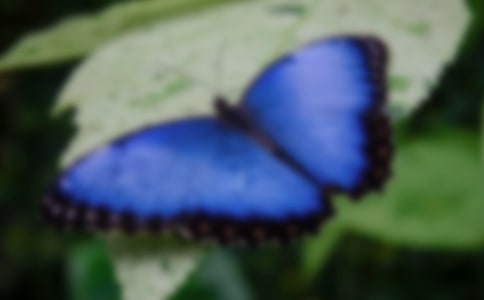 ����Ʒ������������300�־�ƪ