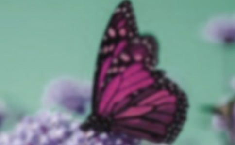 ���ر�����������300��3ƪ