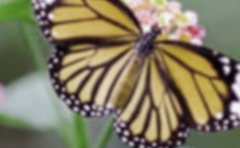 ��������ʾ����600����ƪ