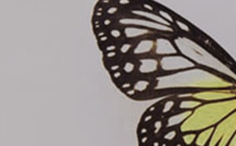 ��������������600����ƪ