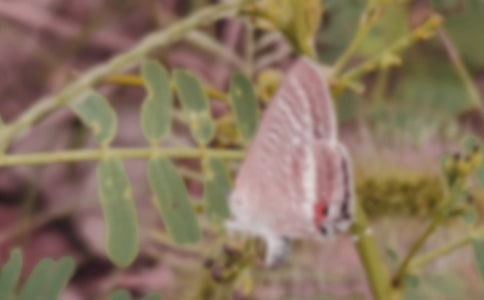 ����ĺ������ģ�ͨ��38ƪ��