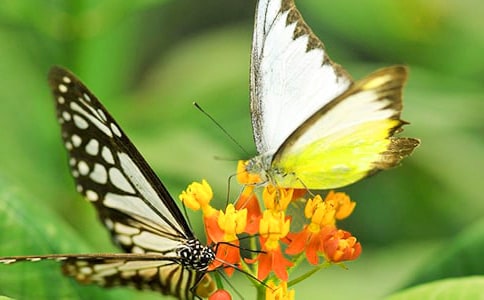 ��������ʾ����300��4ƪ