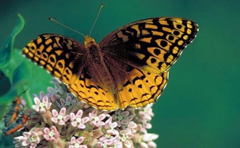 ��������ʾ����600��7ƪ