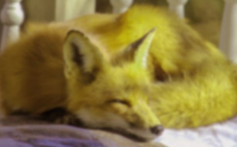 ��ѡ��������ѻ����600��4ƪ