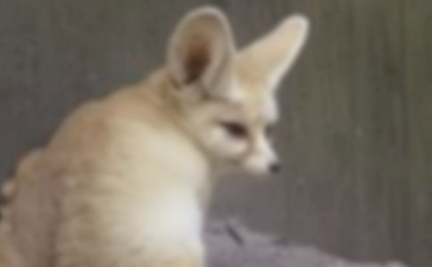 �º�������ѻ���꼶����