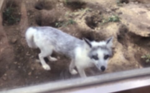 �˲���ĺ���ְֶ����(����15ƪ)