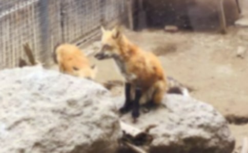 ��������ѻ����300��4ƪ